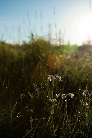 繁花电视剧海报